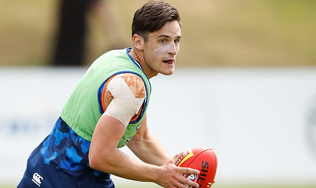 040918_HibberdLarg.jpg